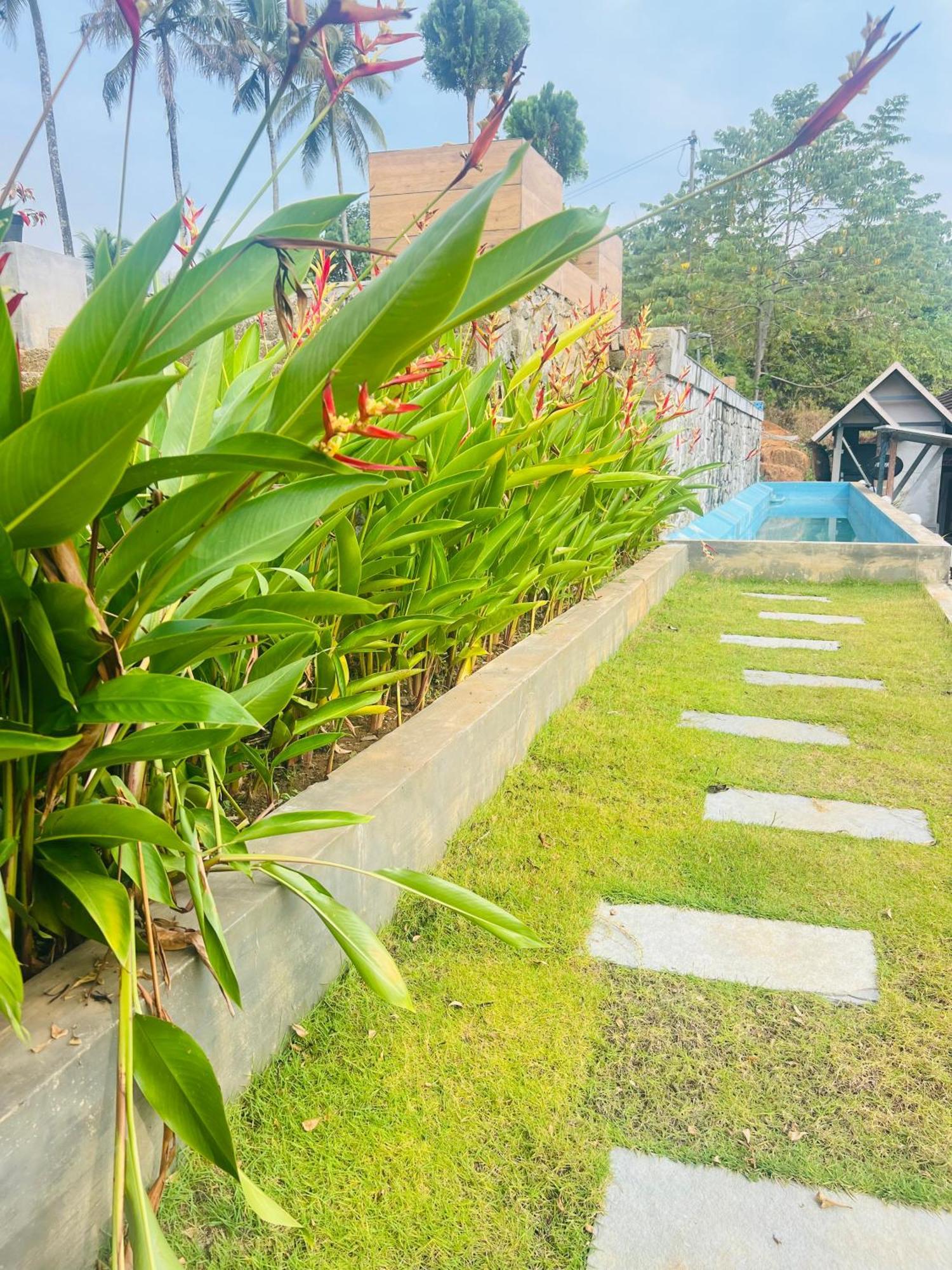 Coconut Valley Neriyamangalam Exterior photo